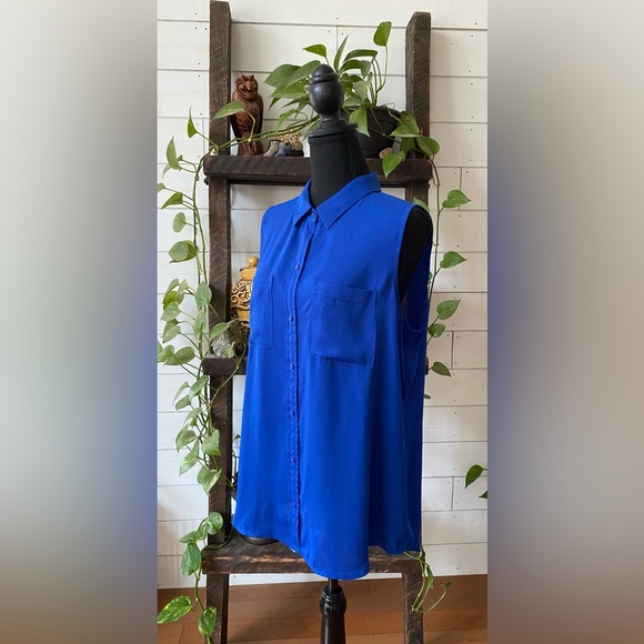Apt 9: Elegant Royal Blue Button Down Shirt - Picture 13 of 17